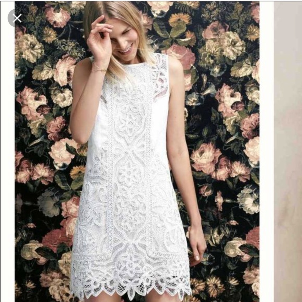 Anthropologie Lace Garden shift dress
